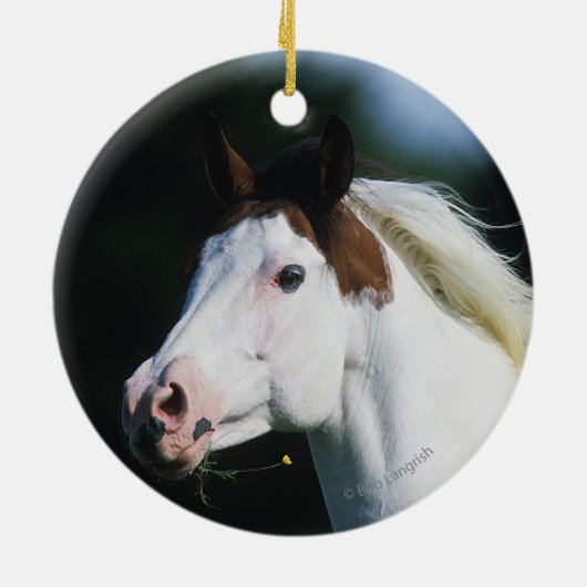 Malen Sie PferdeHeadshot 3 Keramikornament (Hinten)