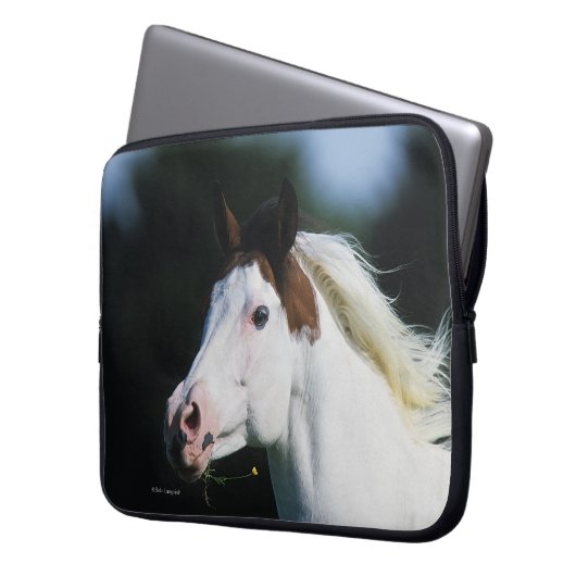 Malen Sie PferdeHeadshot 3 Laptopschutzhülle (Vorderseite Links)