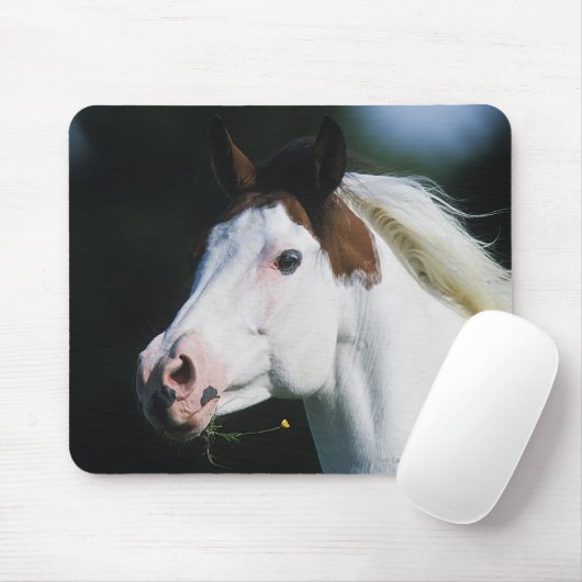 Malen Sie PferdeHeadshot 3 Mousepad (Mit Mouse)