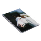 Malen Sie PferdeHeadshot 3 Notizblock (Rechte Seite)