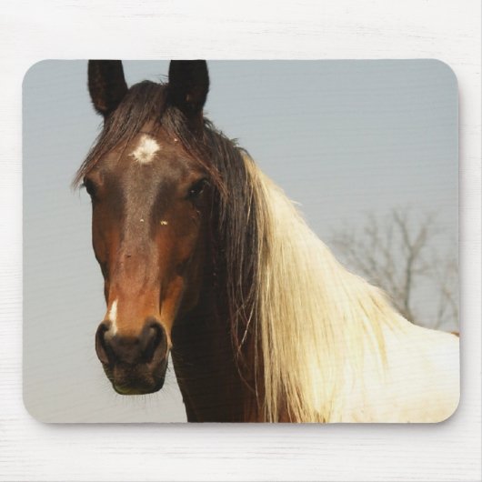 Malen Sie Pferdemausunterlage Mousepad (Vorne)