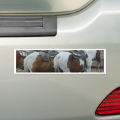 Malen Sie PferdeSchwanz Autoaufkleber (Auf Auto)