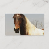 Malen Sie PferdeVisitenkarten Visitenkarte (Rückseite)