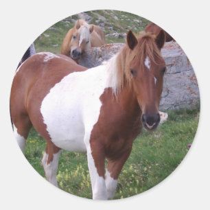 Malen Sie Pony-Aufkleber Runder Aufkleber