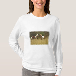 Malen Sie Ponys Feld-im langen Hülsen-Shirt T-Shirt