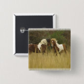 Malen Sie Ponys im Feld-Quadrat-Knopf Button (Vorne & Hinten)