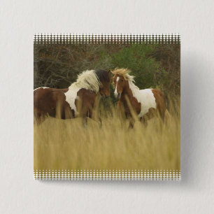 Malen Sie Ponys im Feld-Quadrat-Knopf Button