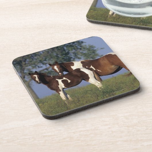 Malen Sie Stute u. Fohlen Getränkeuntersetzer (Linke Seite)