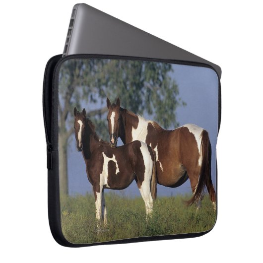 Malen Sie Stute u. Fohlen Laptopschutzhülle (Vorne Rechts)