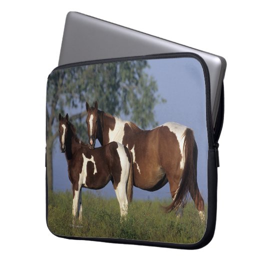 Malen Sie Stute u. Fohlen Laptopschutzhülle (Vorderseite Links)