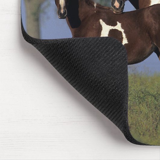 Malen Sie Stute u. Fohlen Mousepad (Ecke)