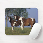Malen Sie Stute u. Fohlen Mousepad (Mit Mouse)