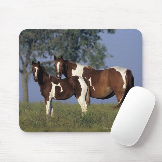 Malen Sie Stute u. Fohlen Mousepad (Mit Mouse)