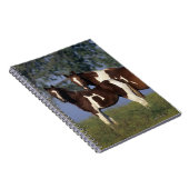 Malen Sie Stute u. Fohlen Notizblock (Rechte Seite)