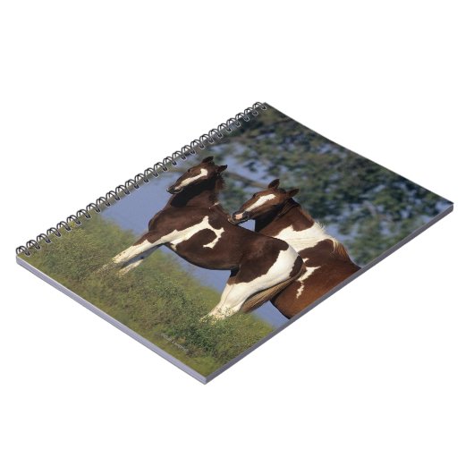 Malen Sie Stute u. Fohlen Notizblock (Linke Seite)