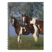 Malen Sie Stute u. Fohlen Notizblock (Vorderseite)
