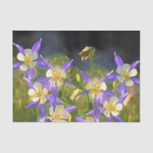 Malerei Colorados blaues Columbine - ursprüngliche Seidenpapier (Vorderseite)