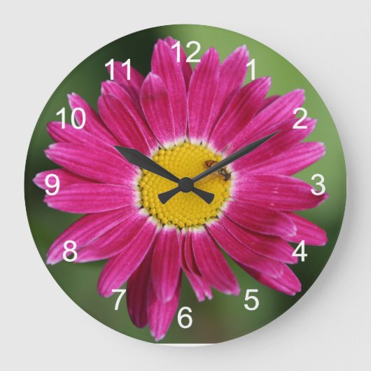 Malerei Daisy und Biene Große Wanduhr (Vorderseite)