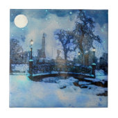 Malerei der Winternacht im Stadtpark Fliese (Vorderseite)