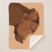 Malerei mit Labrador Retriever (Schokolade) - Hund Sherpadecke (Vorderseite)