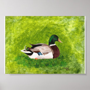 Malerei von Mallard Duck in Grasplakaten Poster