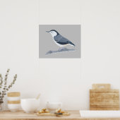 Malerei von Nuthatch Bird auf Wall Posters Poster (Küche)