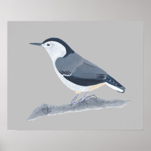 Malerei von Nuthatch Bird auf Wall Posters Poster