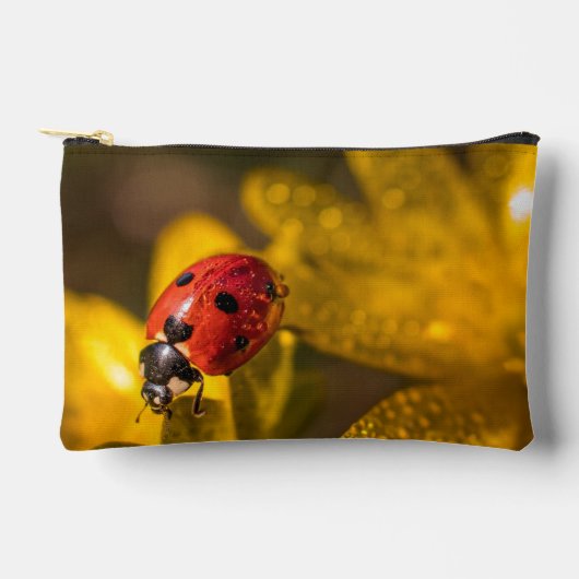 Malerei Zubehörtasche (Vorderseite)