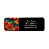 Malerische Ahornbäume im rustikalen Blätter (Vorne)