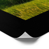 Malerische Ahornbäume im rustikalen Blätter Poster (Ecke)