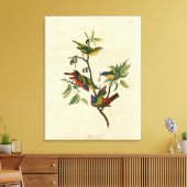 Malerische Finch (Jagd) Audubons Vögel von Amerika Leinwanddruck (Insitu (Wohnzimmer))