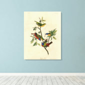 Malerische Finch (Jagd) Audubons Vögel von Amerika Leinwanddruck (Insitu (Holzboden))