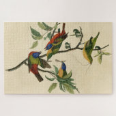 Malerische Finch (Jagd) Audubons Vögel von Amerika Puzzle (Horizontal)