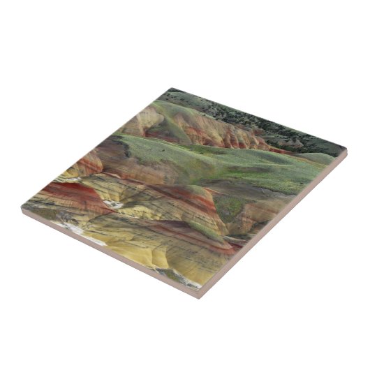 Malerische Hügel, John Day Fossil Beds, Mitchell Fliese (Seite)