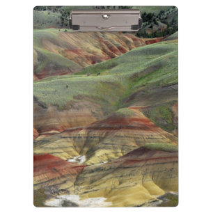 Malerische Hügel, John Day Fossil Beds, Mitchell Klemmbrett