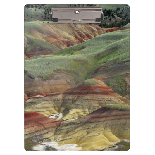 Malerische Hügel, John Day Fossil Beds, Mitchell Klemmbrett (Vorderseite)