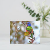 Malerische Jagd, schöner farbiger Vogel Postkarte (Stehend Vorderseite)