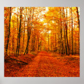 Malerische Landschaft des Herbstes Poster (Vorne)