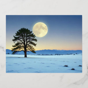 Malerische Landschaft Wintermond Natur Ruhe Folien Feiertagspostkarte