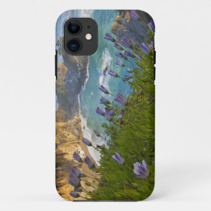 Malerische McWay Falls stürzt auf den Strand und Case-Mate iPhone Hülle