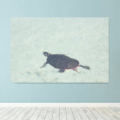 Malerische Schildkröte Leinwanddruck (Insitu (Holzboden))