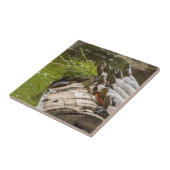 Malerische Schildkröten sonnen sich in einem Teich Fliese (Seite)