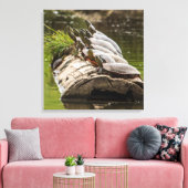 Malerische Schildkröten sonnen sich in einem Teich Leinwanddruck (Insitu (Wohnzimmer))