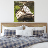 Malerische Schildkröten sonnen sich in einem Teich Leinwanddruck (Insitu (Schlafzimmer))