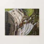 Malerische Schildkröten sonnen sich in einem Teich Puzzle (Horizontal)