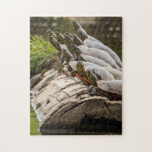 Malerische Schildkröten sonnen sich in einem Teich Puzzle