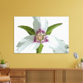Malerische Trillium Spring Wildblume Canvas Print Leinwanddruck (Insitu (Wohnzimmer))