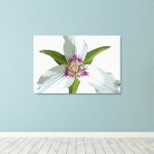Malerische Trillium Spring Wildblume Canvas Print Leinwanddruck (Insitu (Holzboden))