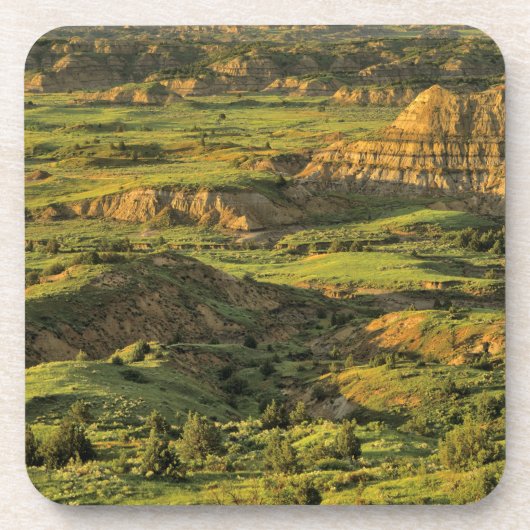 Malerischer Canyon nach Sturm in Theodore Roosevel Getränkeuntersetzer (Vorderseite)