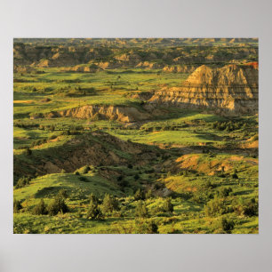 Malerischer Canyon nach Sturm in Theodore Roosevel Poster